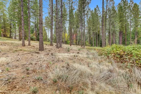 12566 Allison Ranch Rd, Grass Valley, CA 95949 photo 47