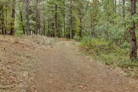 12566 Allison Ranch Rd, Grass Valley, CA 95949 photo 55