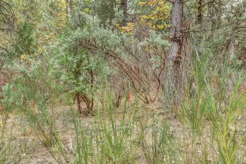 12566 Allison Ranch Rd, Grass Valley, CA 95949 photo 62
