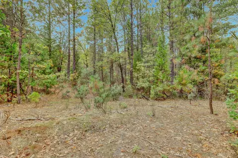 12566 Allison Ranch Rd, Grass Valley, CA 95949 photo 69