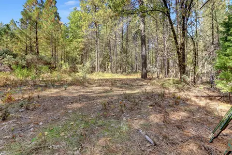 12566 Allison Ranch Rd, Grass Valley, CA 95949 photo 6