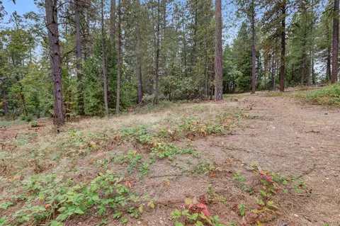 12566 Allison Ranch Rd, Grass Valley, CA 95949 photo 37