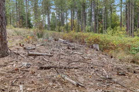 12566 Allison Ranch Rd, Grass Valley, CA 95949 photo 23