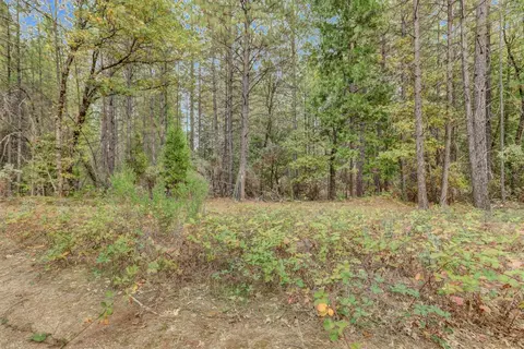 12566 Allison Ranch Rd, Grass Valley, CA 95949 photo 77