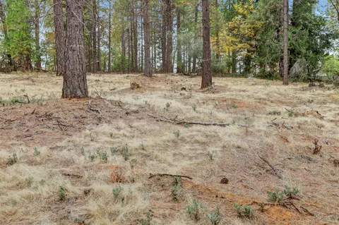 12566 Allison Ranch Rd, Grass Valley, CA 95949 photo 49