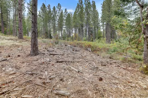 12566 Allison Ranch Rd, Grass Valley, CA 95949 photo 27
