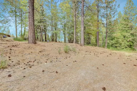 12566 Allison Ranch Rd, Grass Valley, CA 95949 photo 81