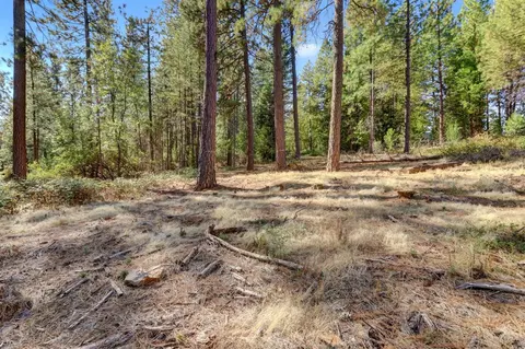12566 Allison Ranch Rd, Grass Valley, CA 95949 photo 17