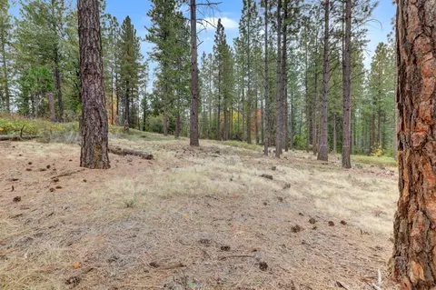 12566 Allison Ranch Rd, Grass Valley, CA 95949 photo 39