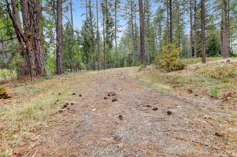 12566 Allison Ranch Rd, Grass Valley, CA 95949 photo 19