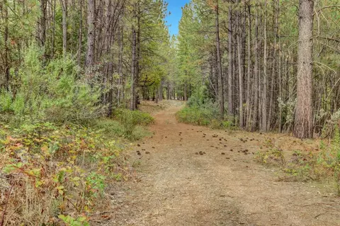 12566 Allison Ranch Rd, Grass Valley, CA 95949 photo 84
