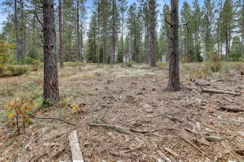 12566 Allison Ranch Rd, Grass Valley, CA 95949 photo 25