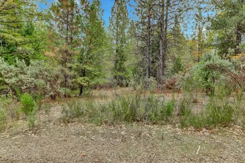 12566 Allison Ranch Rd, Grass Valley, CA 95949 photo 67