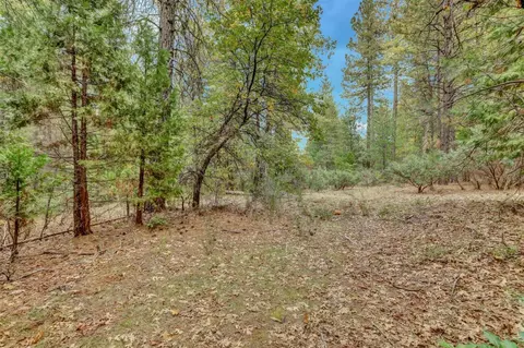 12566 Allison Ranch Rd, Grass Valley, CA 95949 photo 68