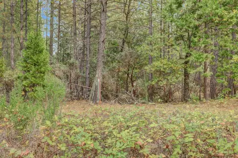 12566 Allison Ranch Rd, Grass Valley, CA 95949 photo 75