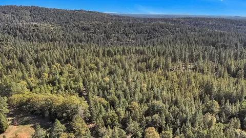 12566 Allison Ranch Rd, Grass Valley, CA 95949 photo 38