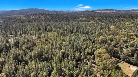 12566 Allison Ranch Rd, Grass Valley, CA 95949 photo 20