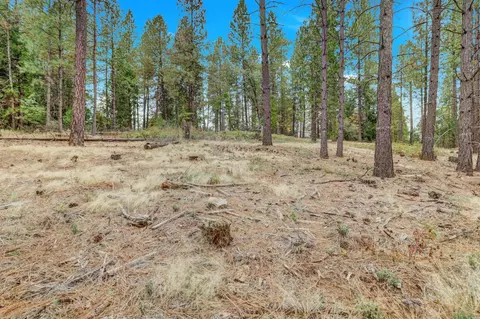 12566 Allison Ranch Rd, Grass Valley, CA 95949 photo 43