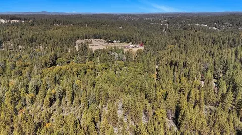 12566 Allison Ranch Rd, Grass Valley, CA 95949 photo 32