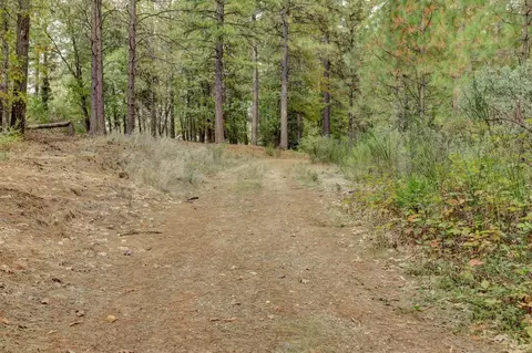 12566 Allison Ranch Rd, Grass Valley, CA 95949 photo 80
