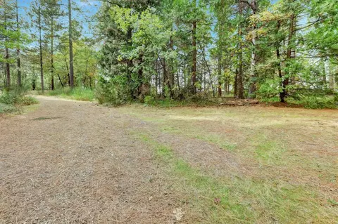 12566 Allison Ranch Rd, Grass Valley, CA 95949 photo 86