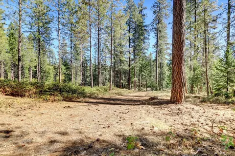 12566 Allison Ranch Rd, Grass Valley, CA 95949 photo 22