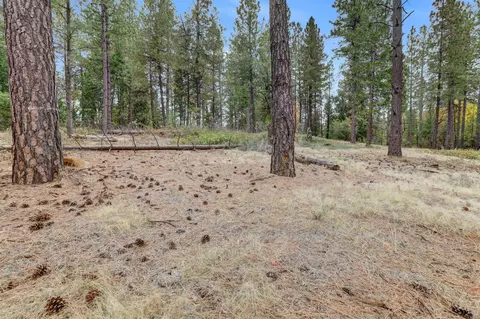 12566 Allison Ranch Rd, Grass Valley, CA 95949 photo 45