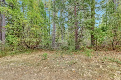 12566 Allison Ranch Rd, Grass Valley, CA 95949 photo 88