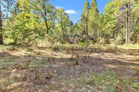 12566 Allison Ranch Rd, Grass Valley, CA 95949 photo 9