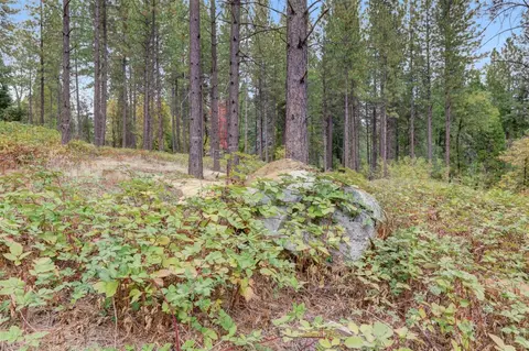 12566 Allison Ranch Rd, Grass Valley, CA 95949 photo 35