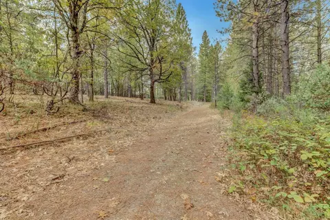 12566 Allison Ranch Rd, Grass Valley, CA 95949 photo 79