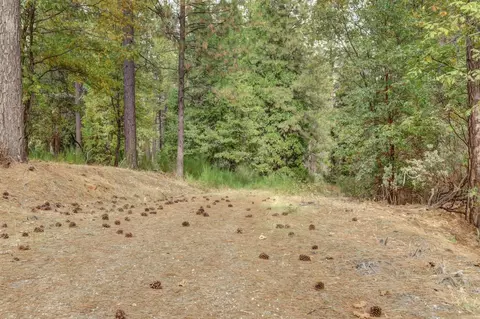 12566 Allison Ranch Rd, Grass Valley, CA 95949 photo 73
