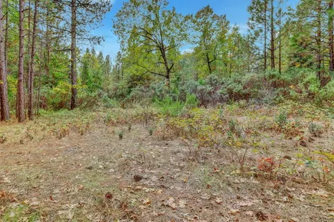 12566 Allison Ranch Rd, Grass Valley, CA 95949 photo 56