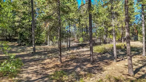 12566 Allison Ranch Rd, Grass Valley, CA 95949 photo 95