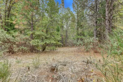 12566 Allison Ranch Rd, Grass Valley, CA 95949 photo 64