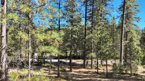 12566 Allison Ranch Rd, Grass Valley, CA 95949 photo 96