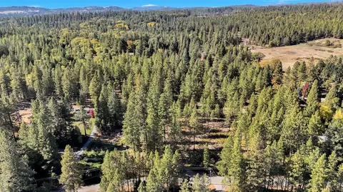 12566 Allison Ranch Rd, Grass Valley, CA 95949 photo 98