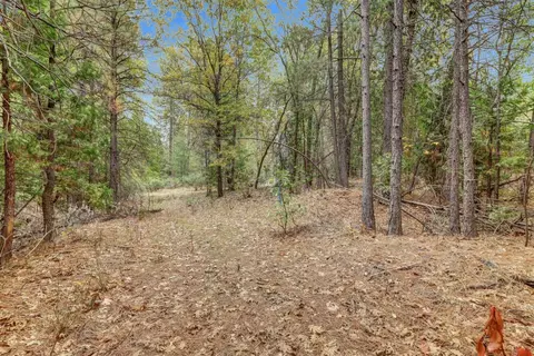 12566 Allison Ranch Rd, Grass Valley, CA 95949 photo 65