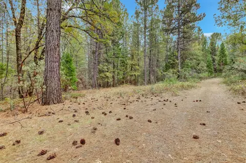 12566 Allison Ranch Rd, Grass Valley, CA 95949 photo 58