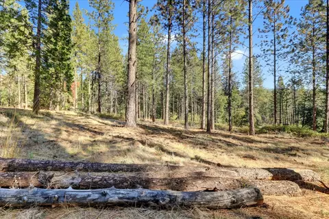 12566 Allison Ranch Rd, Grass Valley, CA 95949 photo 1