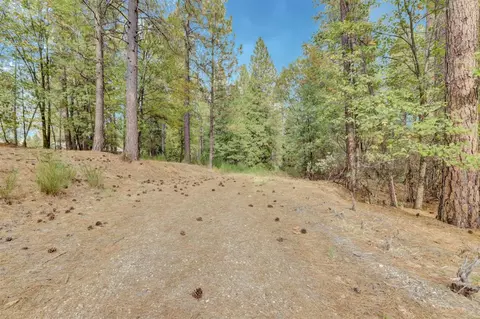 12566 Allison Ranch Rd, Grass Valley, CA 95949 photo 82