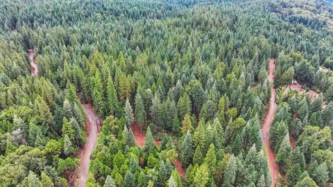 View/Area - 700 Lovers Leap Rd, Alta, CA 95701 photo 1 of 1