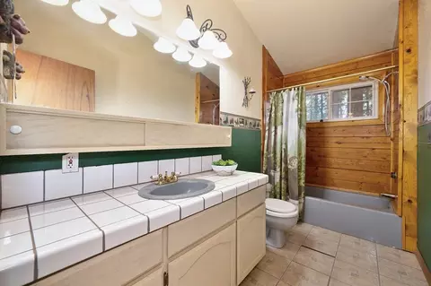 Bath - 700 Lovers Leap Rd, Alta, CA 95701 photo 4 of 4