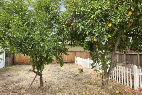 Exterior - 725 Mcfall Pl, Manteca, CA 95336 photo 4 of 6