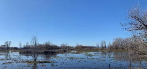 0 Pennington Rd, Gridley, CA 95948