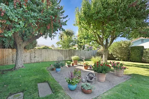 309 Vineyard Dr, Lodi, CA 95240 photo 41