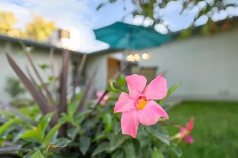 309 Vineyard Dr, Lodi, CA 95240 photo 39