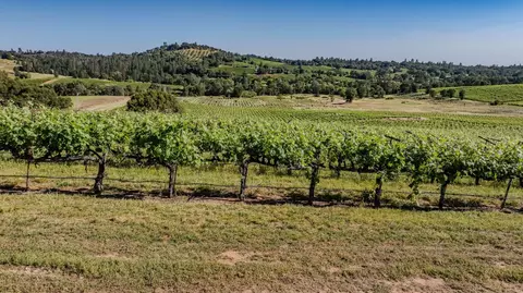 12551 Steiner Rd, Plymouth, CA 95669