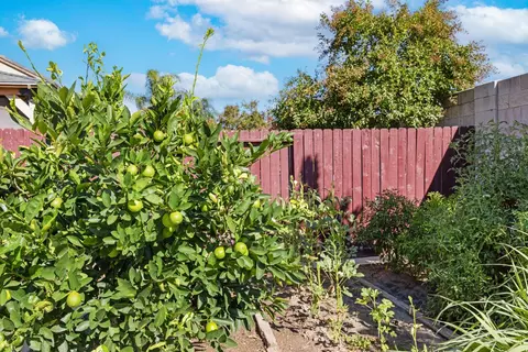 2304 Snowy Egret St, Modesto, CA 95355 photo 31