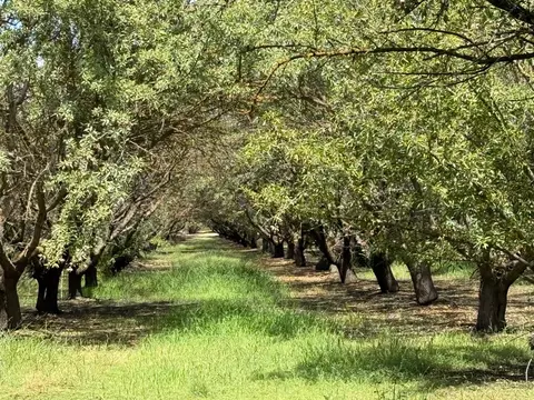 0 Yosemite Blvd, Modesto, CA 95357 photo 2